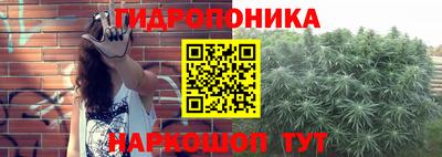мдпв Канаш