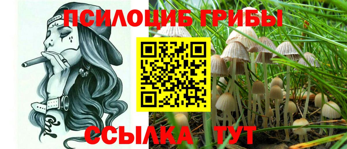 Псилоцибиновые грибы мухоморы  Галлюциногенные грибы MAGIC MUSHROOMS  Коркино  Вход с VPN 