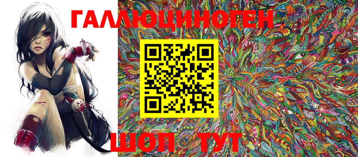Псилоцибиновые грибы Psilocybine cubensis Коркино